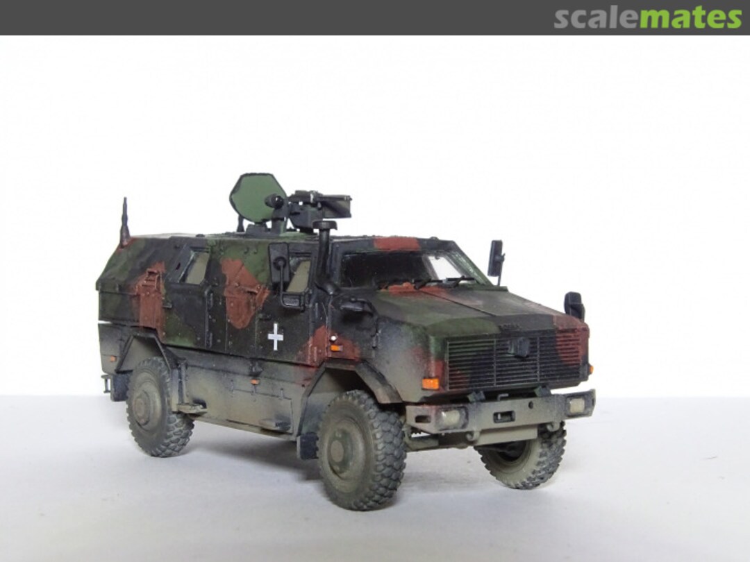 View album, image #1 View album, image #1