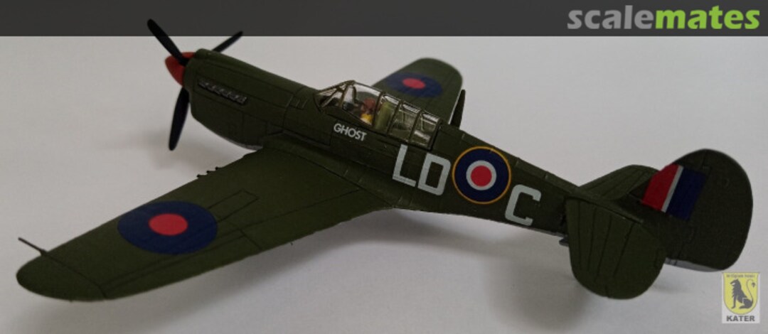 View album, image #1