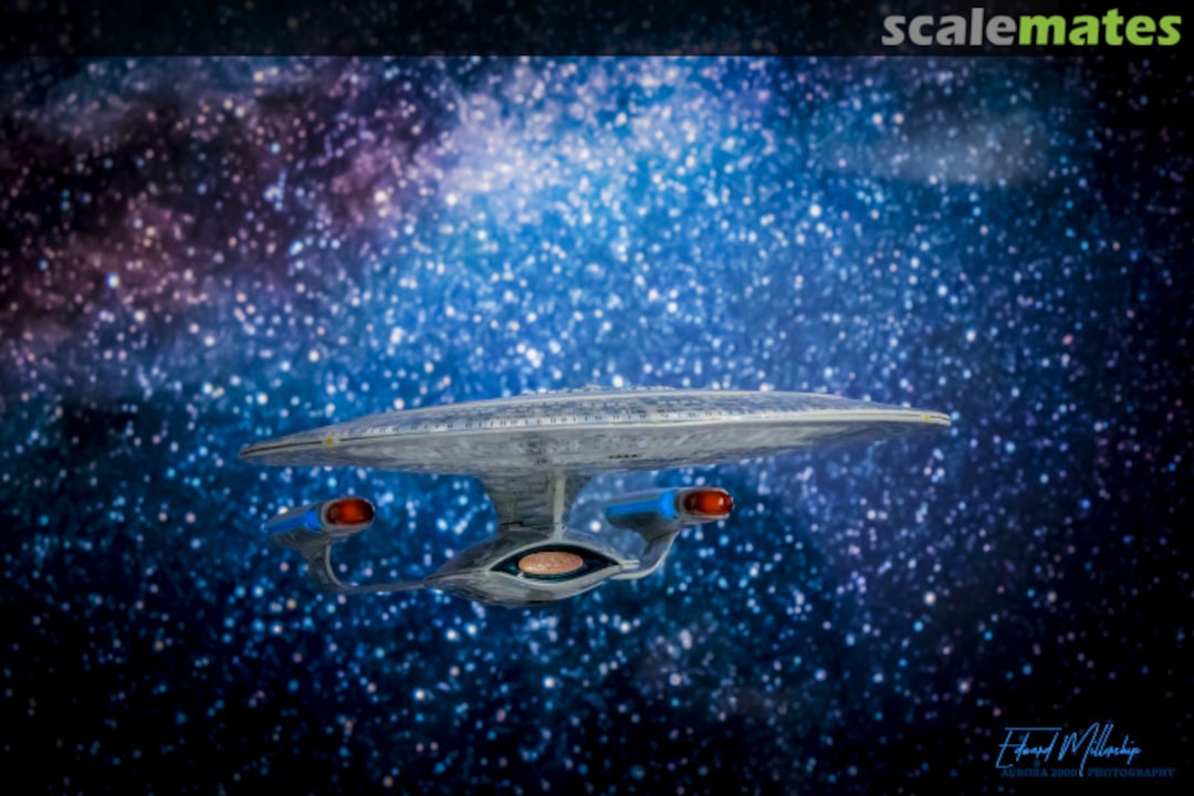 View album, image #14 View album, image #14