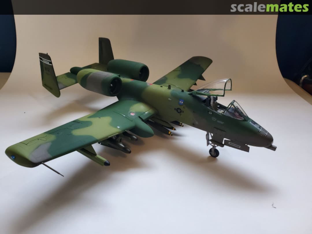 View album, image #1