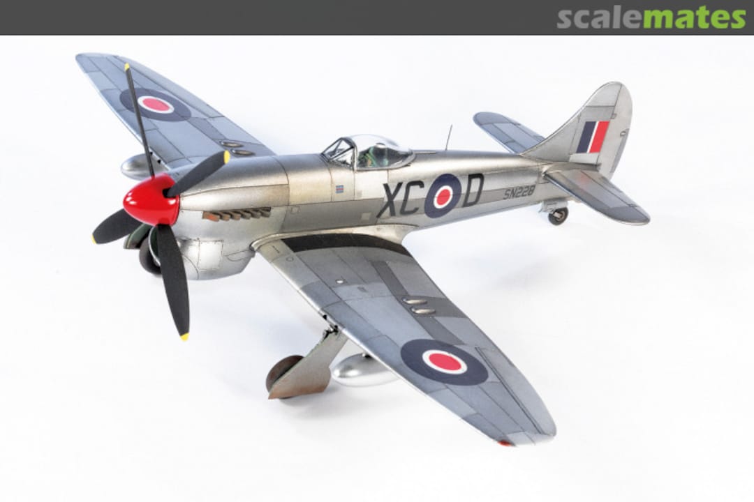 View album, image #1 View album, image #1