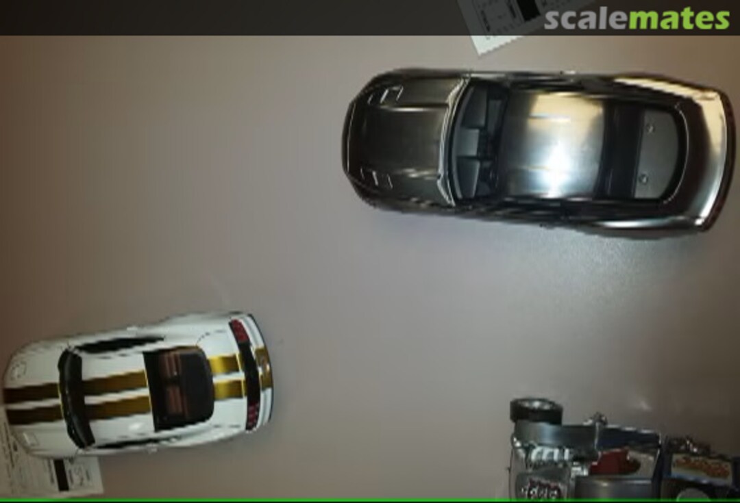 View album, image #1 View album, image #1