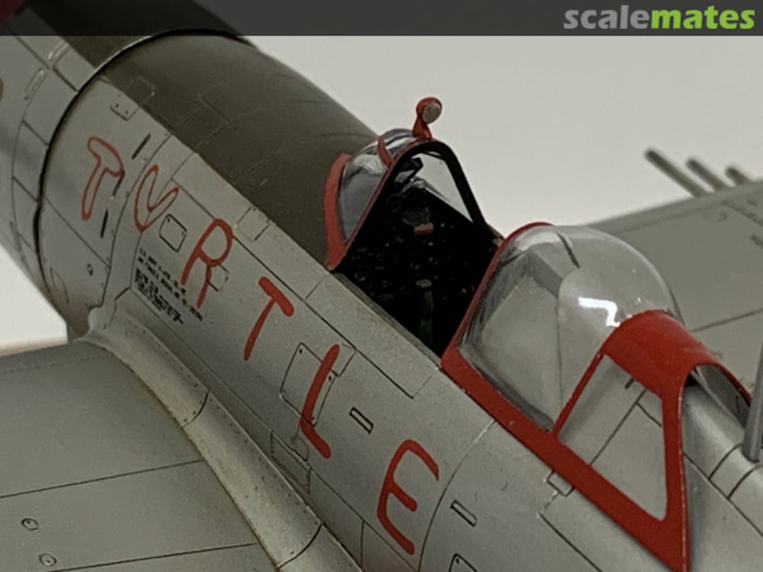 View album, image #1 View album, image #1