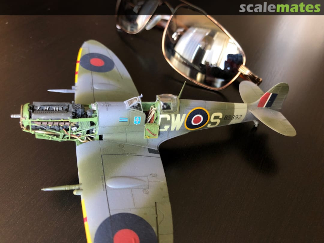 View album, image #5 View album, image #5