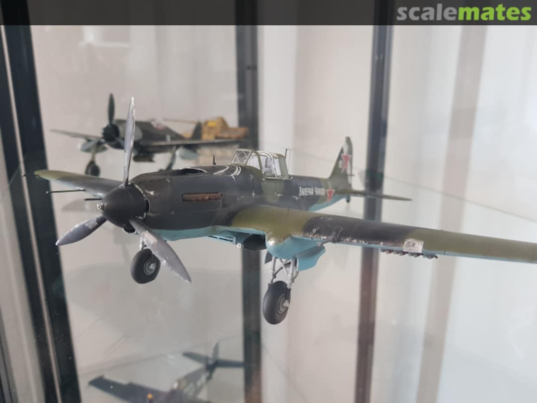 View album, image #1 View album, image #1