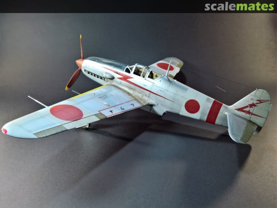 View album, image #17 View album, image #17