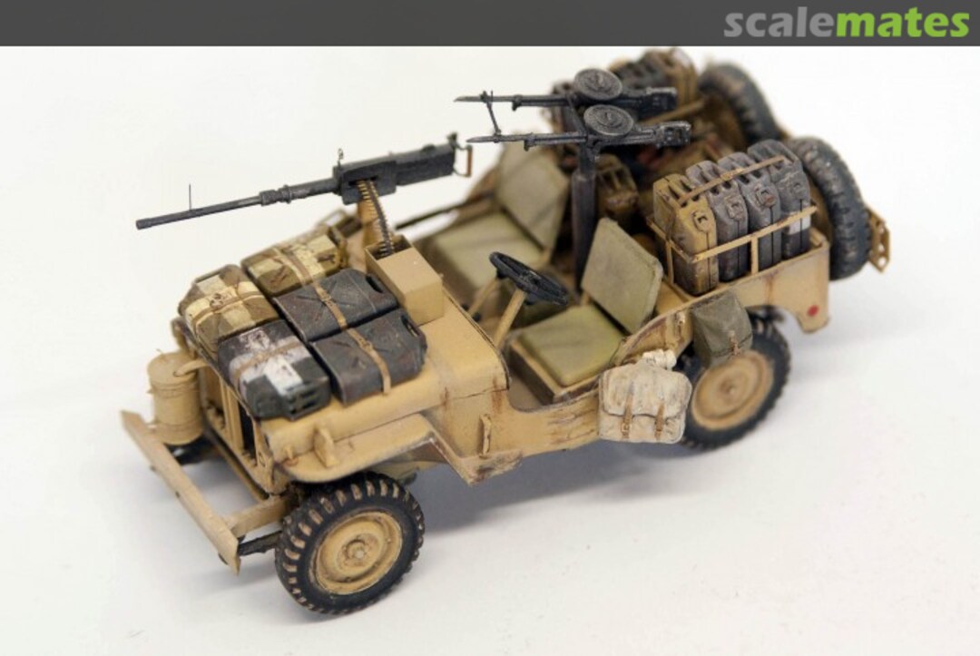 View album, image #1 View album, image #1