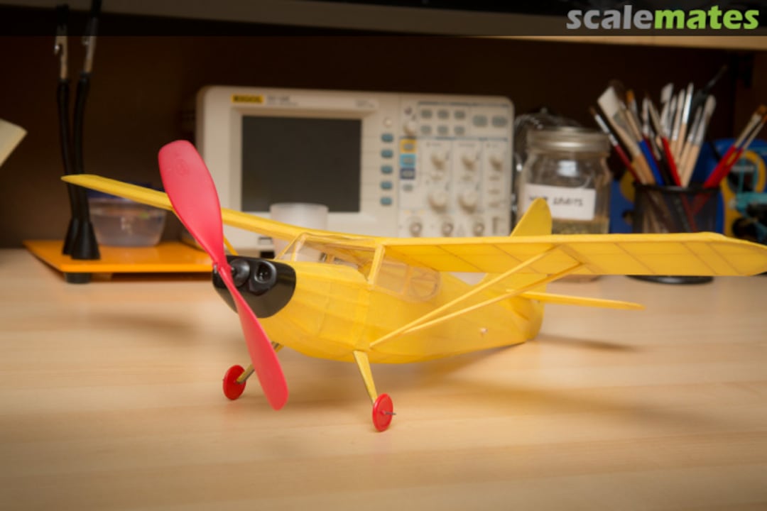 View album, image #1 View album, image #1