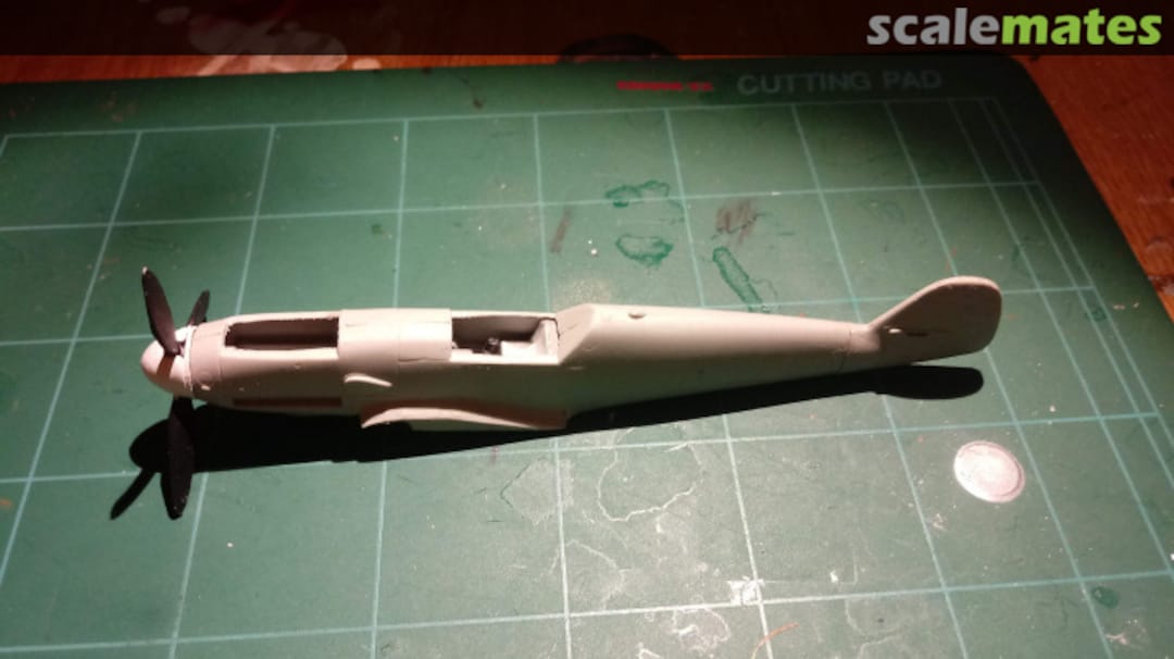 View album, image #1 View album, image #1