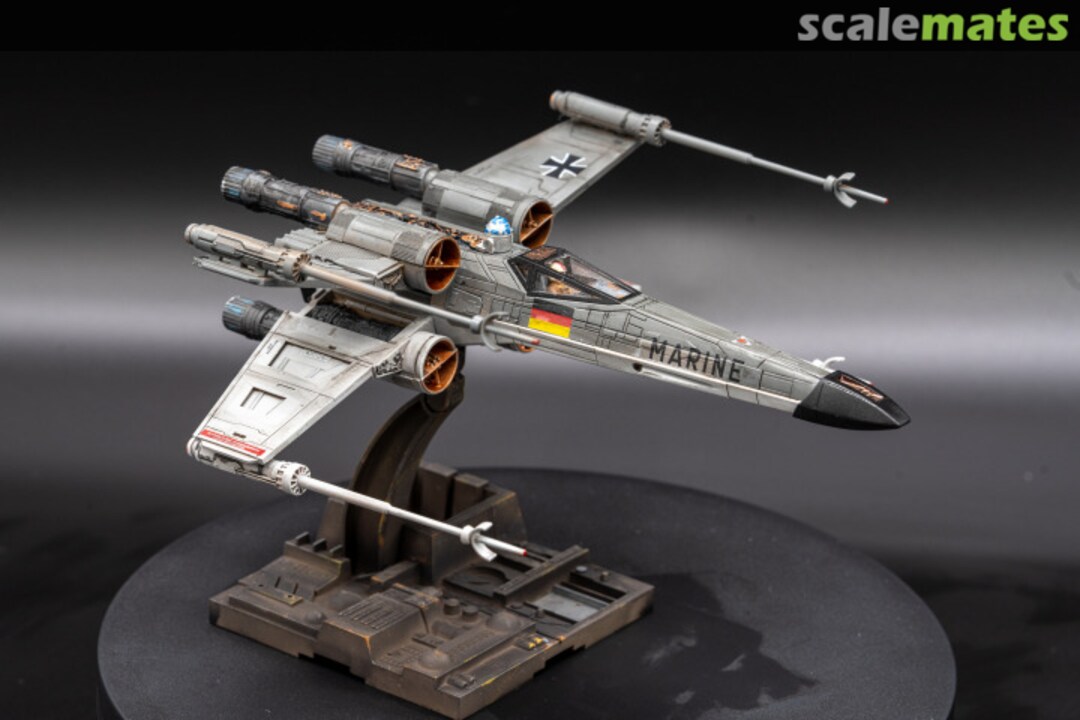 View album, image #1 View album, image #1