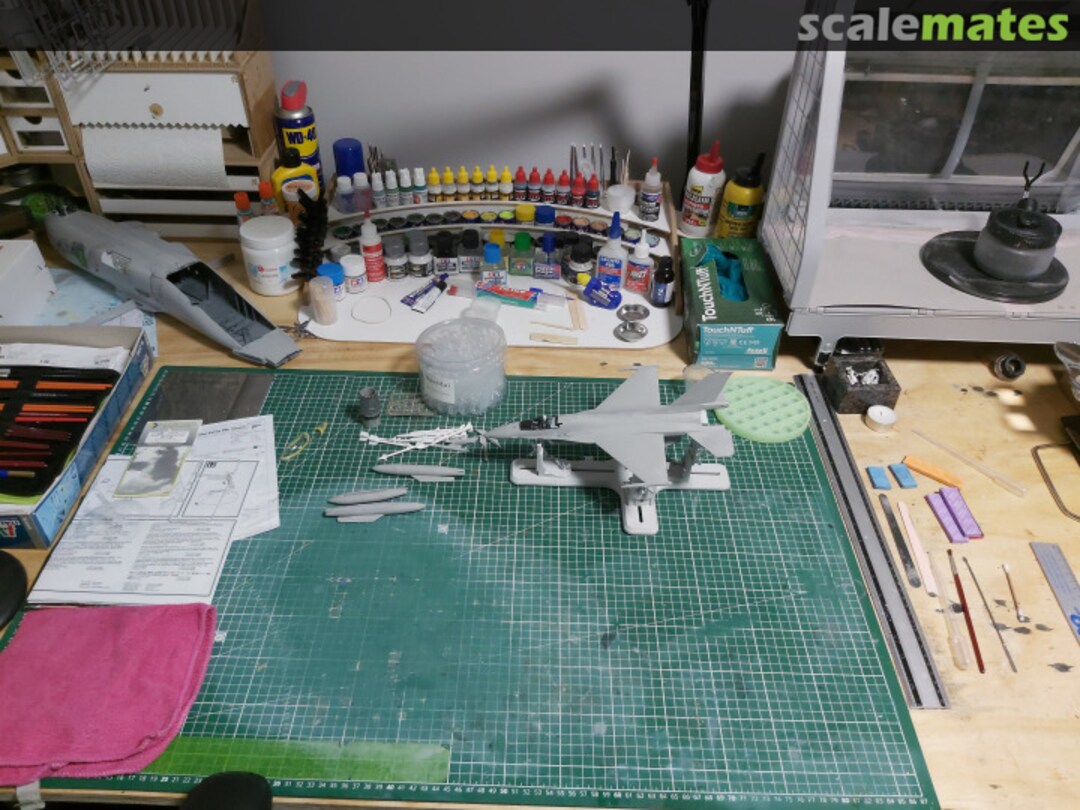 View album, image #1 View album, image #1