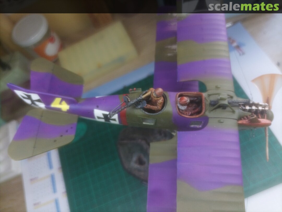 View album, image #9 View album, image #9