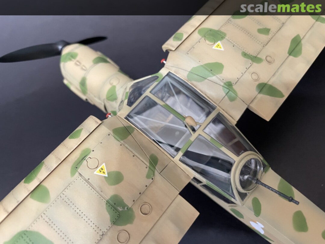 View album, image #22 View album, image #22