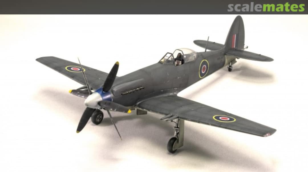 View album, image #1 View album, image #1