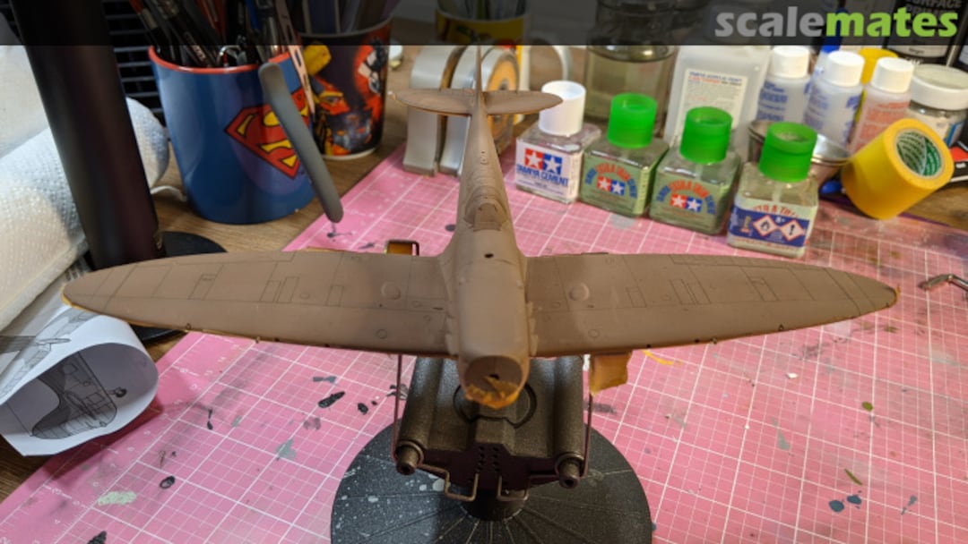 View album, image #6 View album, image #6