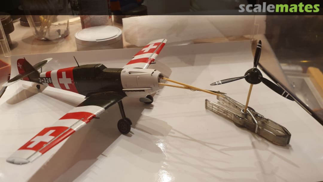 View album, image #1 View album, image #1