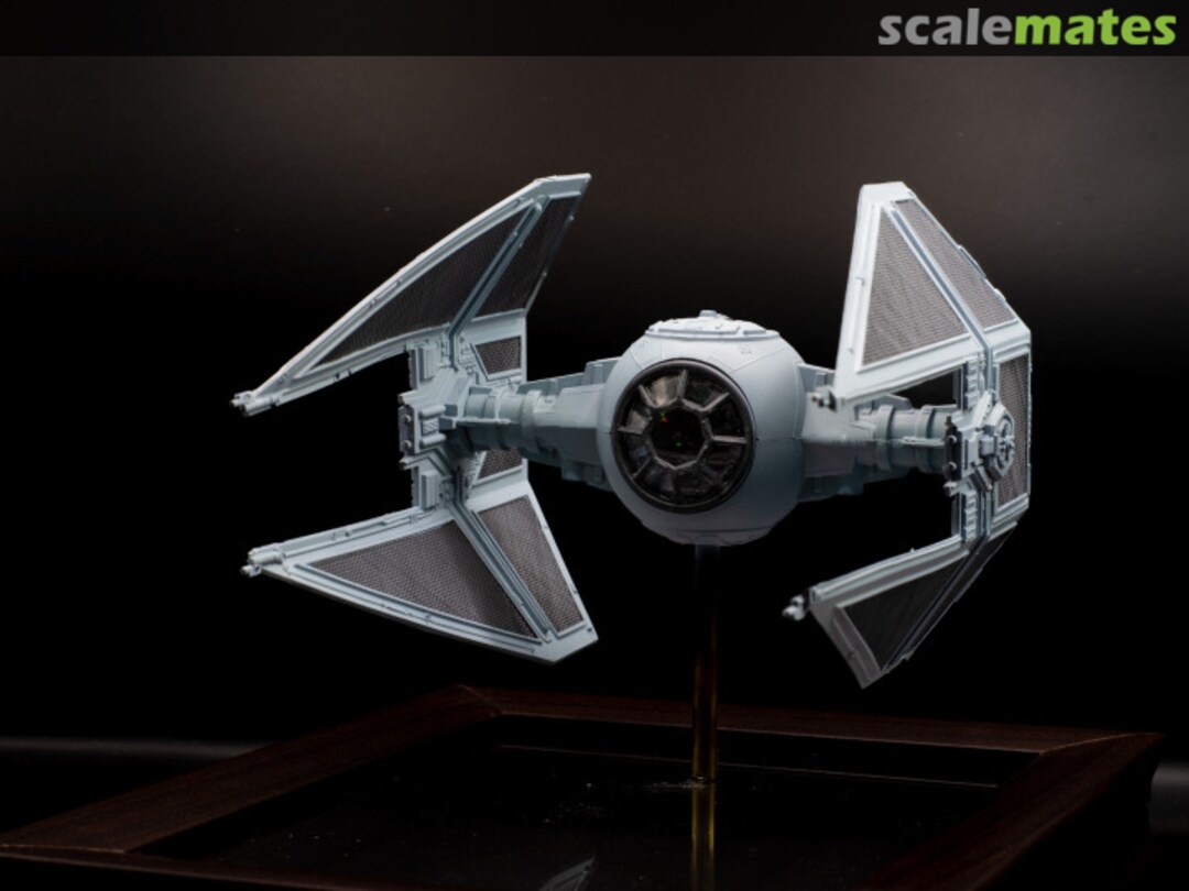 View album, image #6 View album, image #6