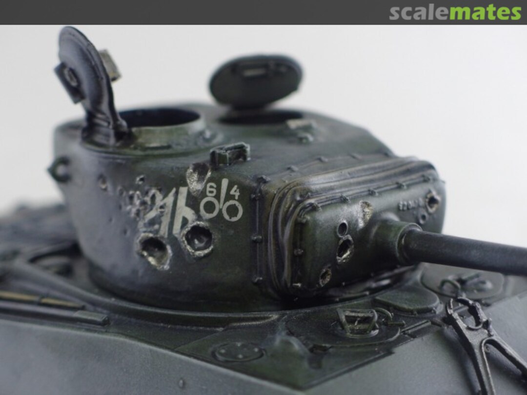 View album, image #3