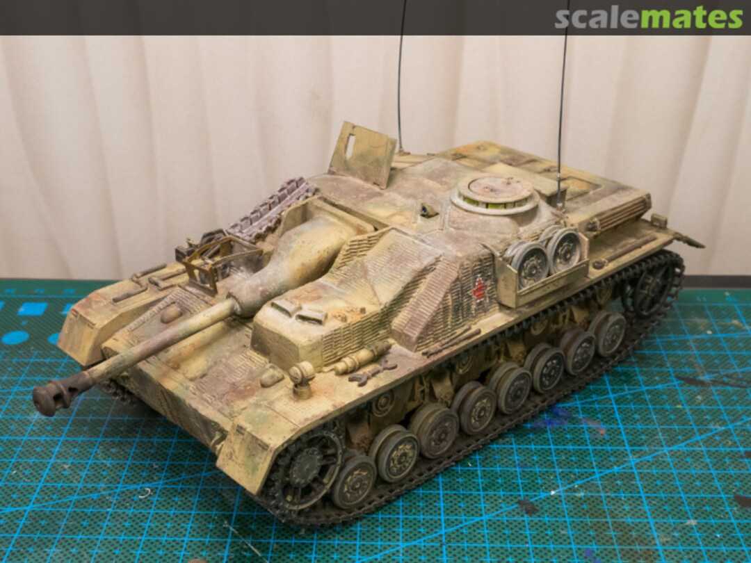 View album, image #23 View album, image #23