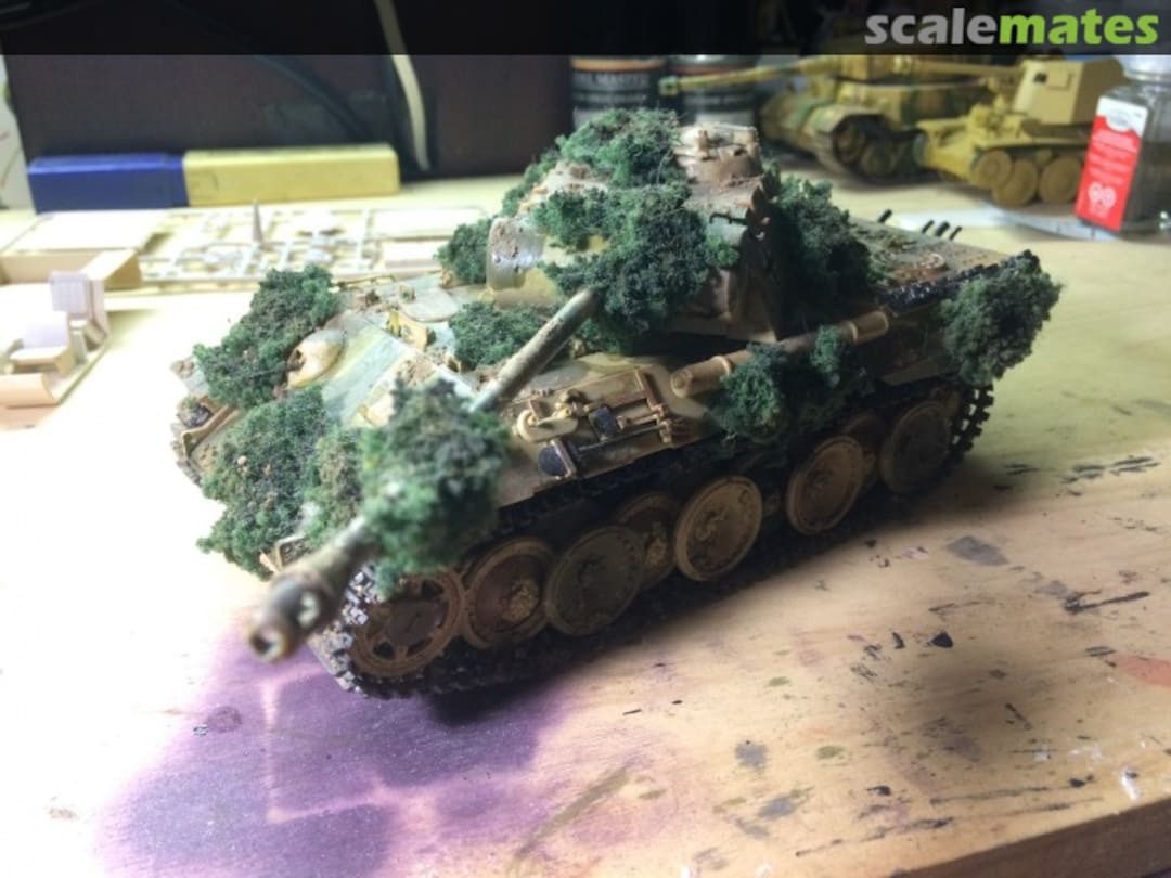 View album, image #1