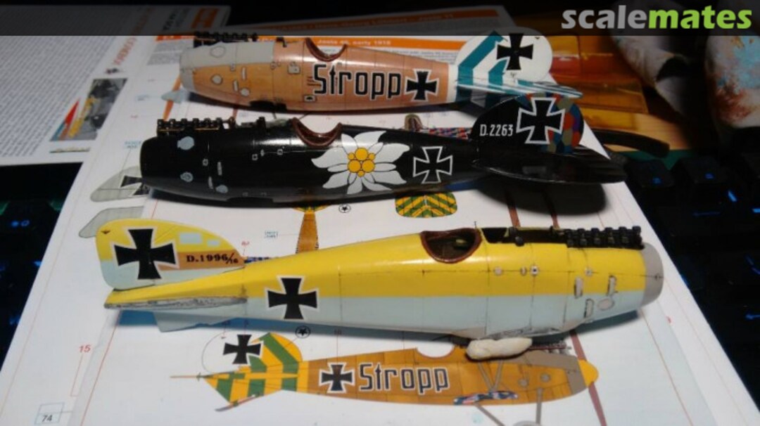 View album, image #16 View album, image #16