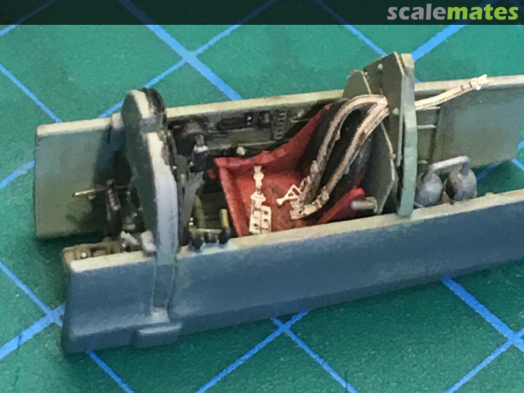 View album, image #1 View album, image #1