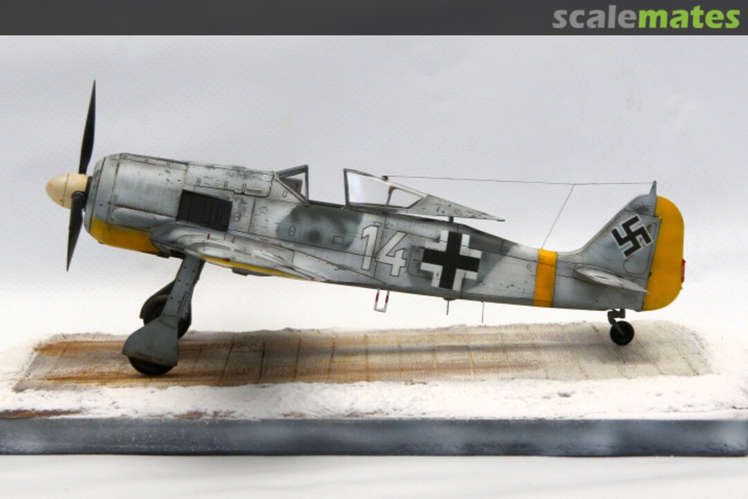 View album, image #1 View album, image #1