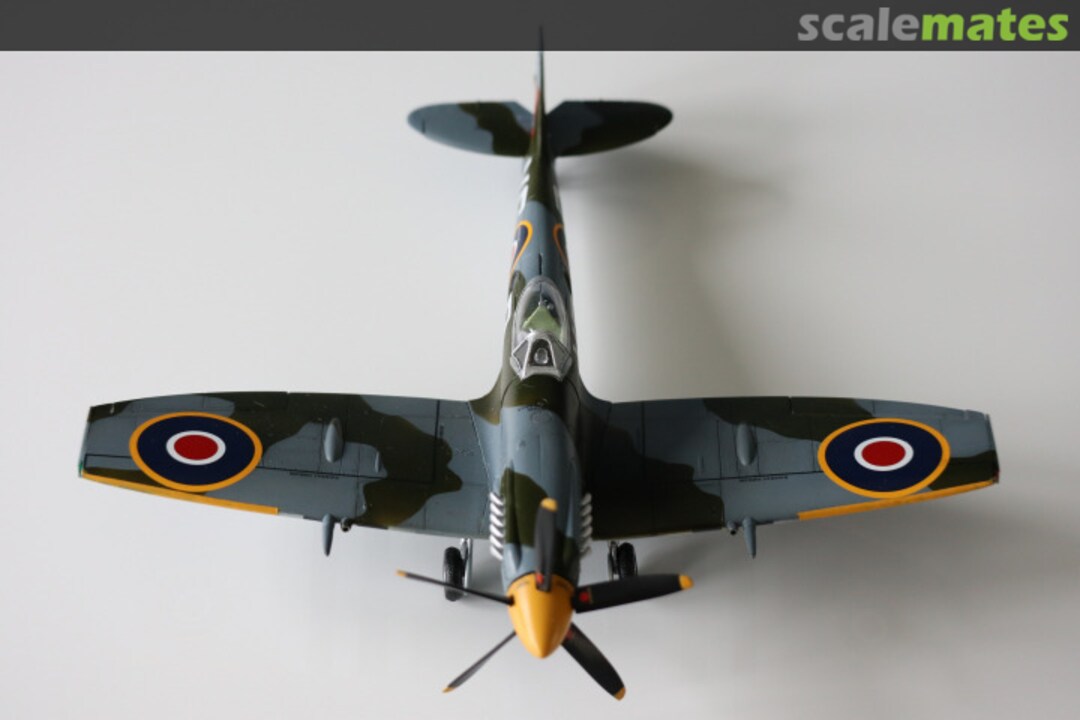 View album, image #1 View album, image #1