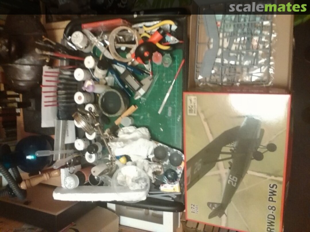 View album, image #1 View album, image #1