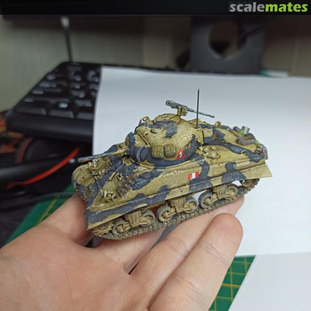 View album, image #1 View album, image #1