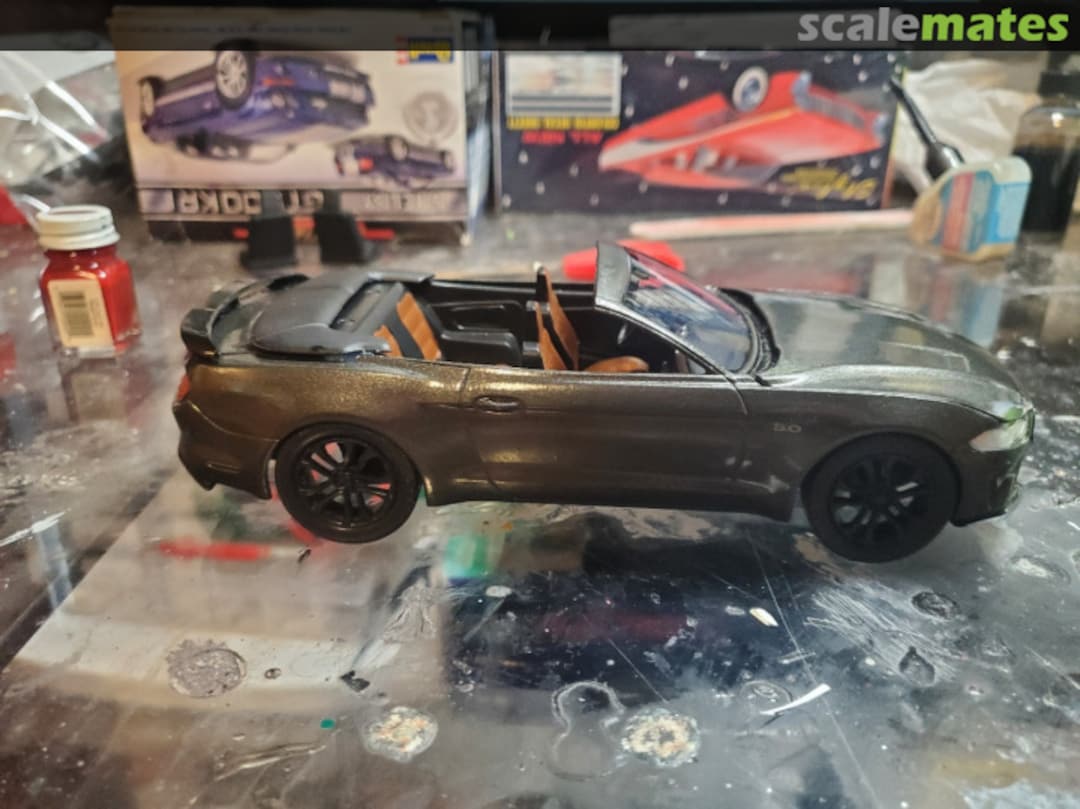 View album, image #62 View album, image #62