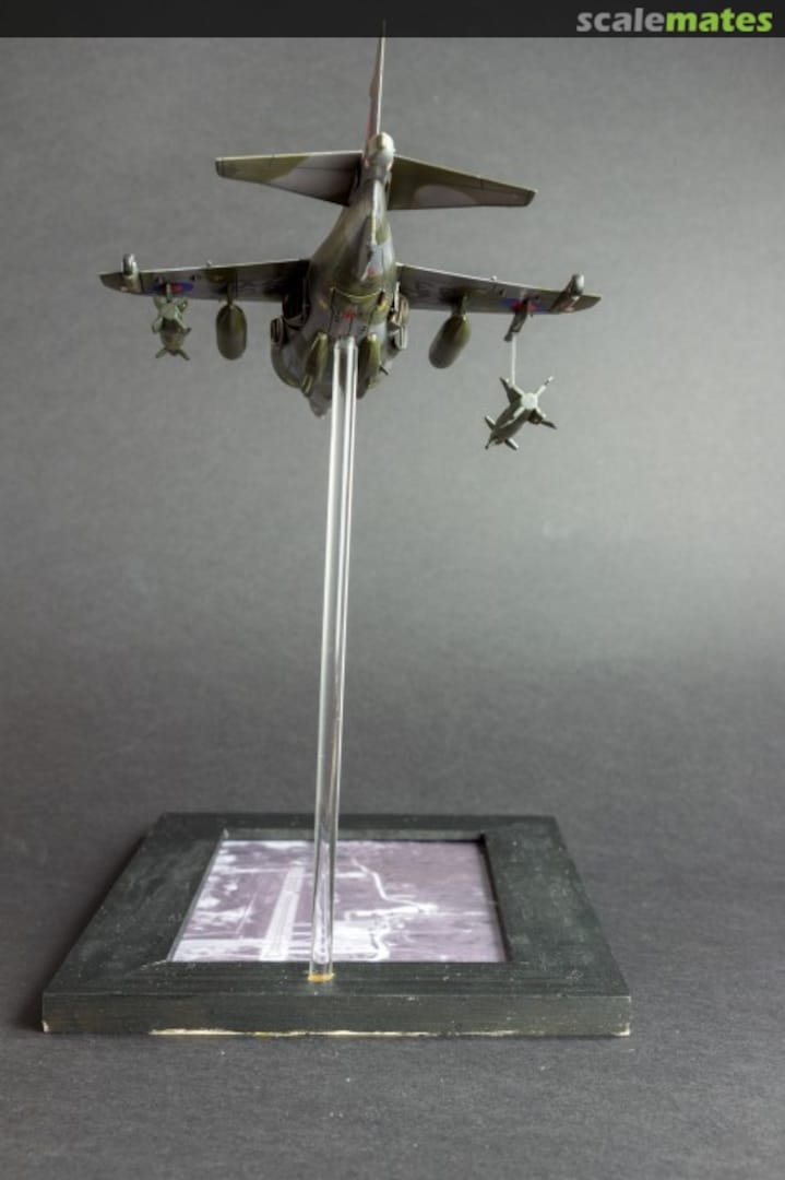 View album, image #1 View album, image #1