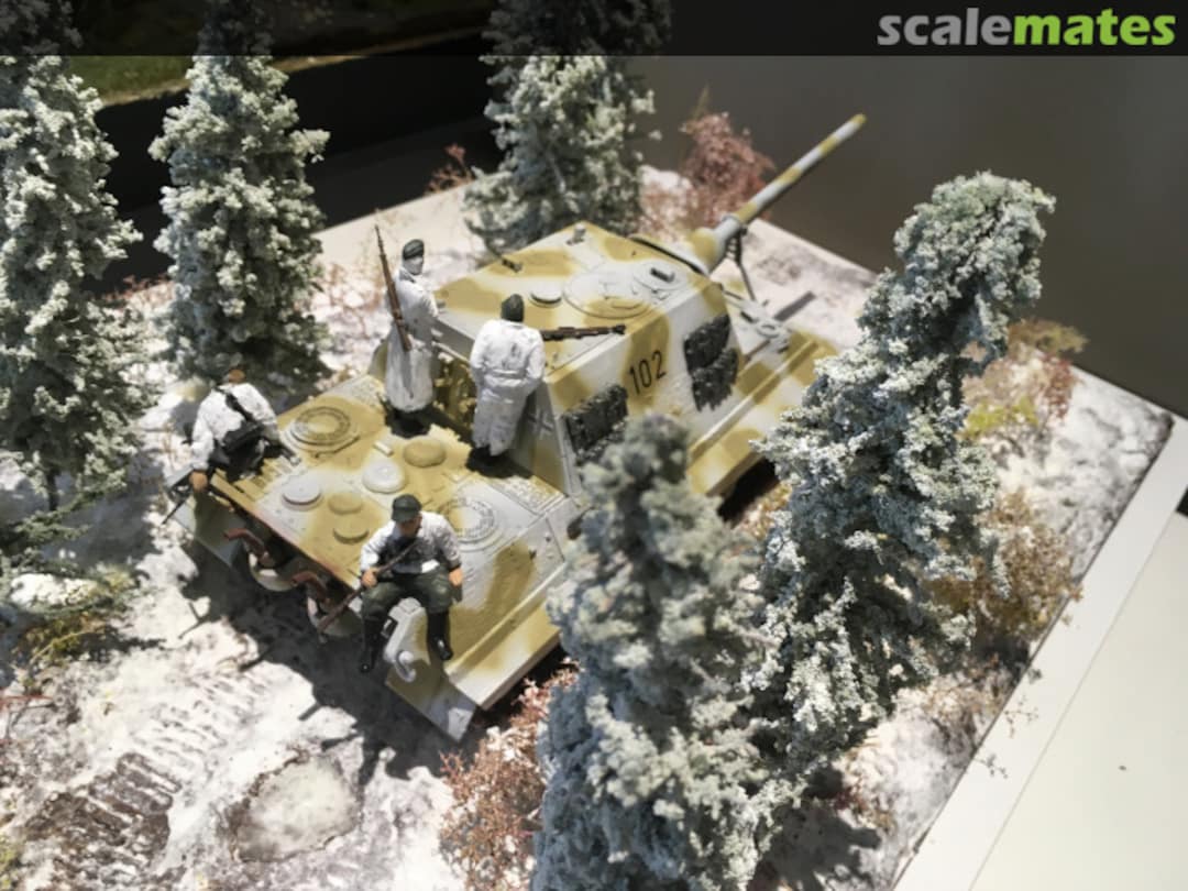 View album, image #1 View album, image #1