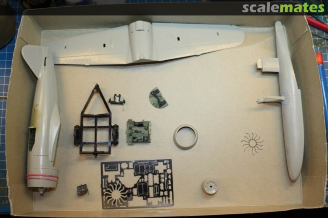 View album, image #1