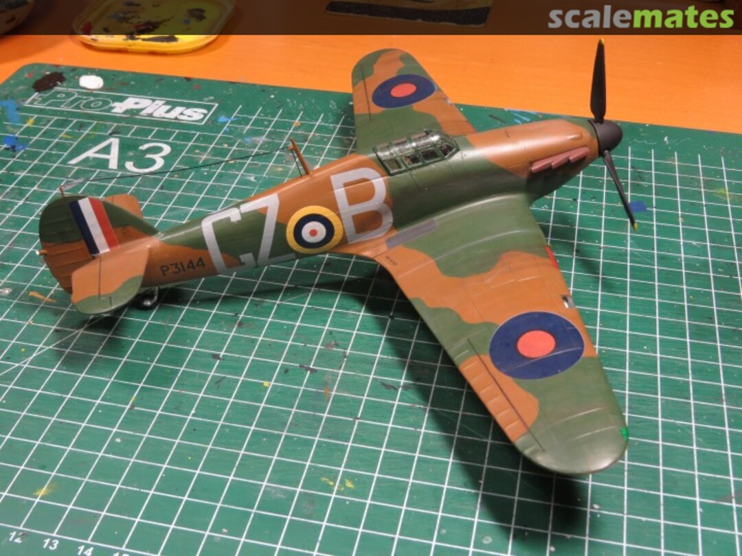 View album, image #10 View album, image #10