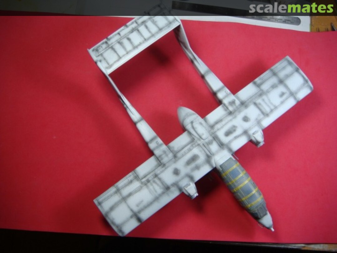 View album, image #1 View album, image #1