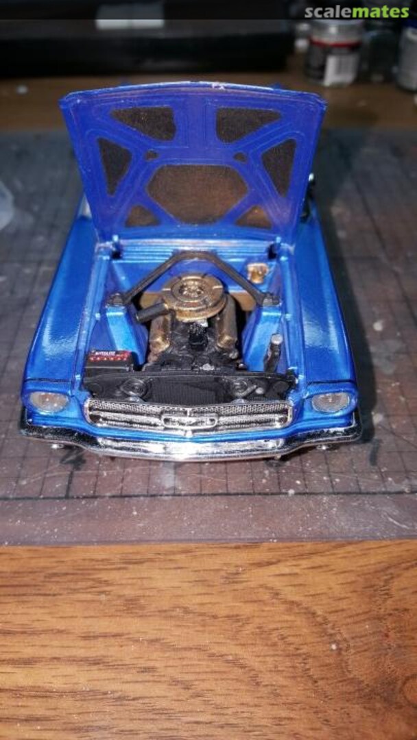 View album, image #3 View album, image #3