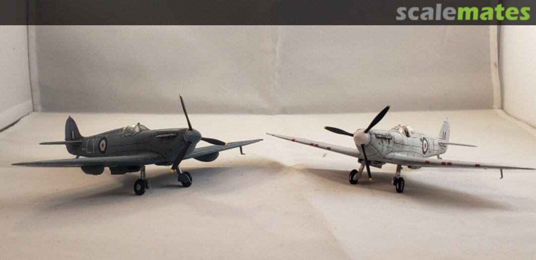 View album, image #1