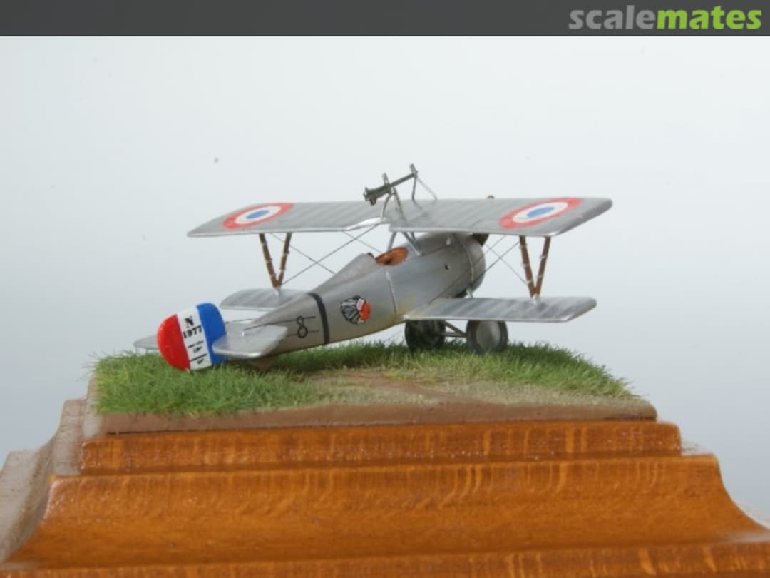 View album, image #37 View album, image #37