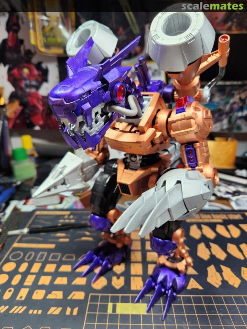 View album, image #1 View album, image #1