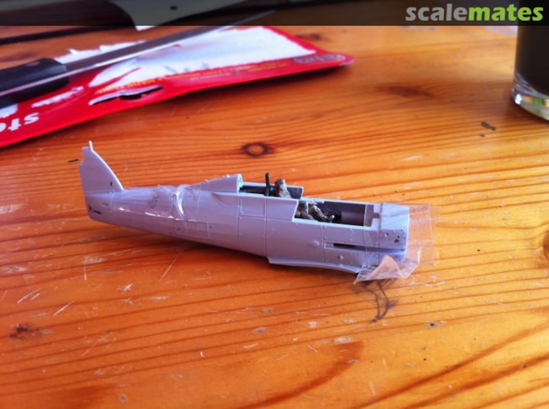 View album, image #1 View album, image #1