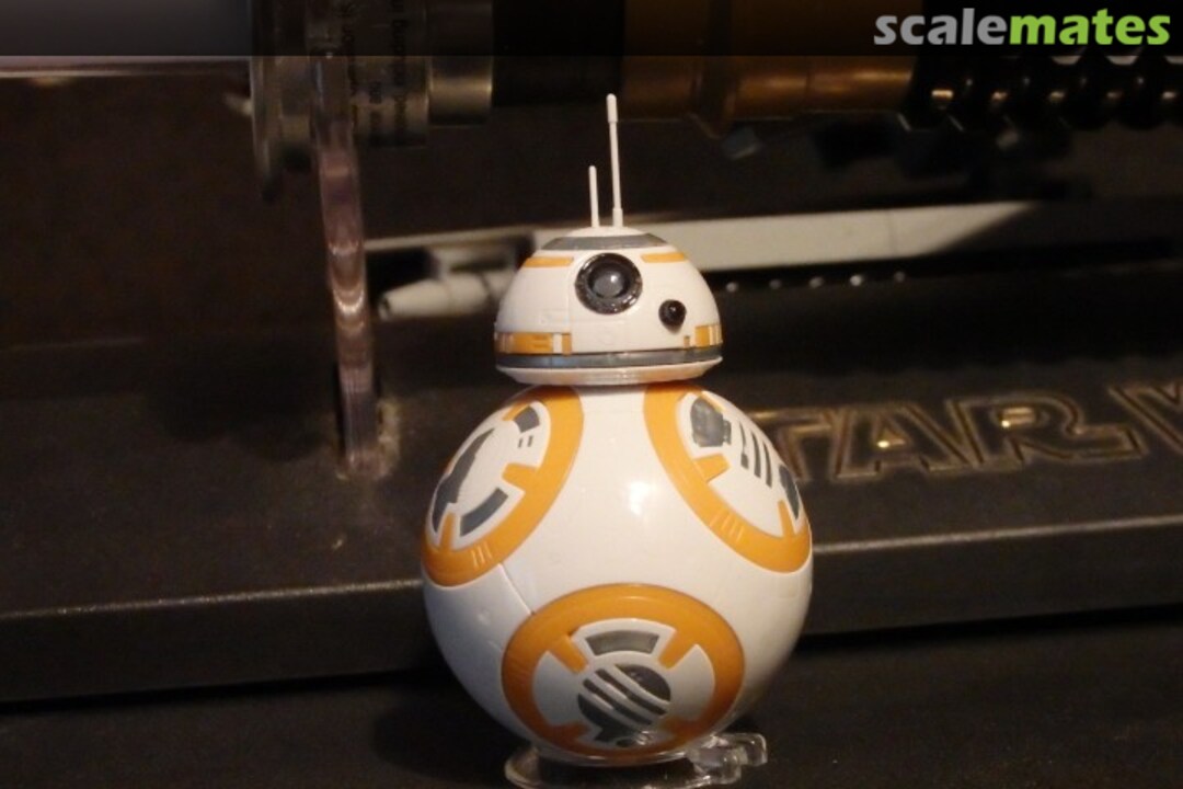 View album, image #1 View album, image #1