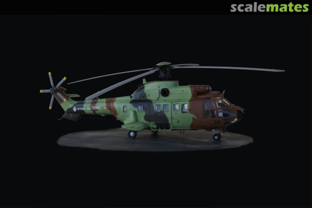 View album, image #1 View album, image #1