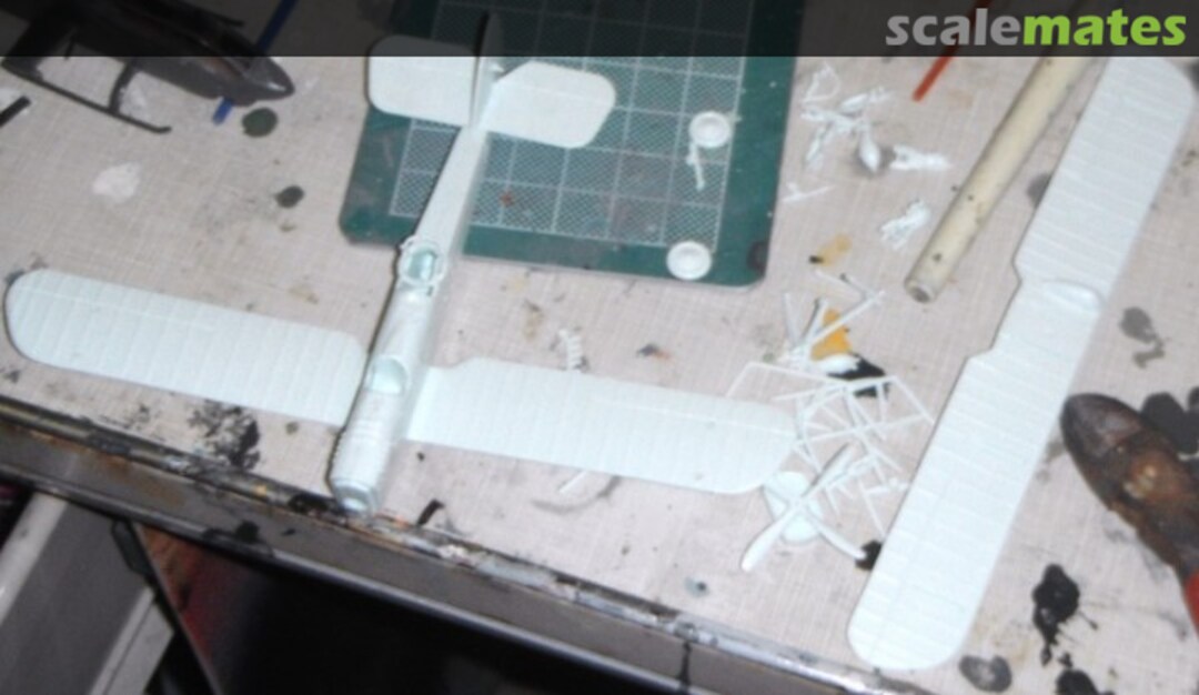 View album, image #1 View album, image #1