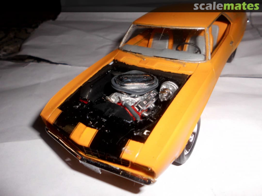 View album, image #28 View album, image #28