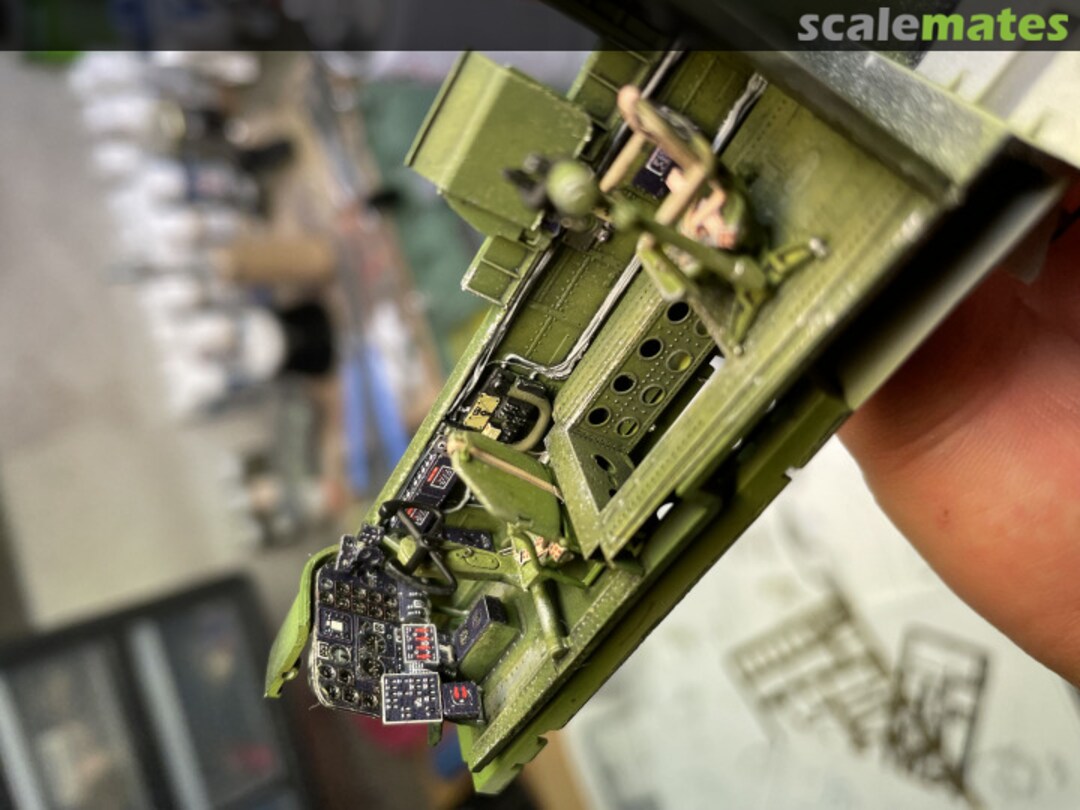 View album, image #1