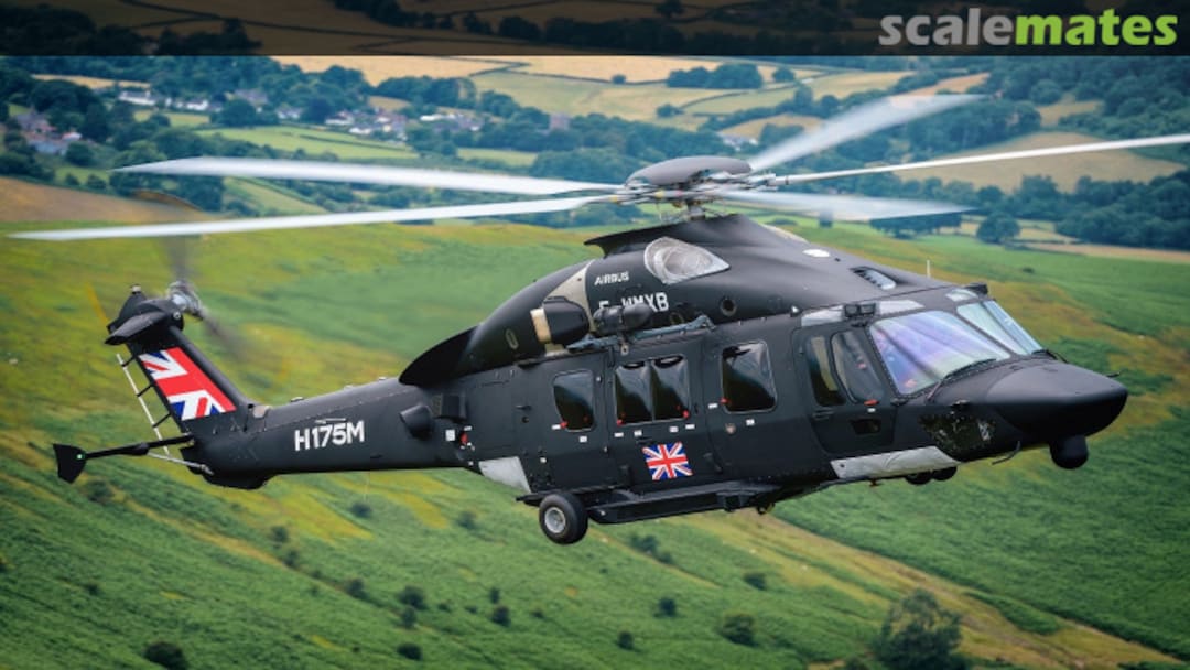 View album, image #2 View album, image #2