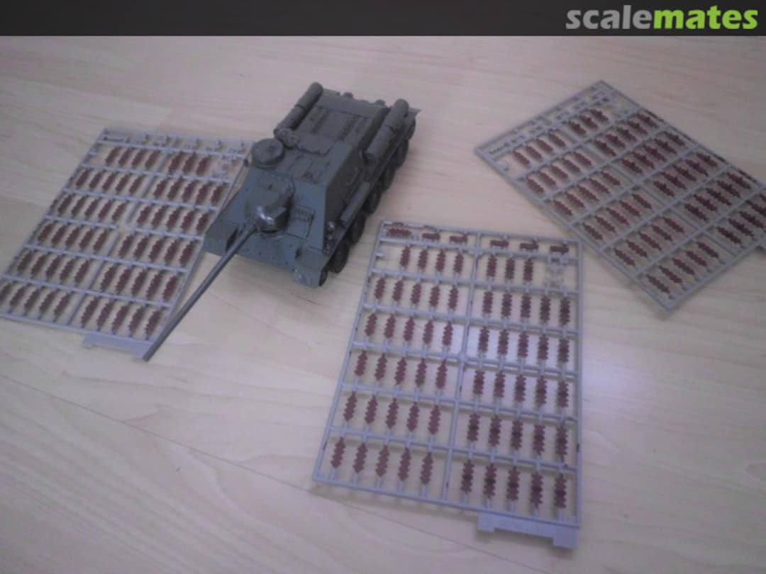 View album, image #1 View album, image #1