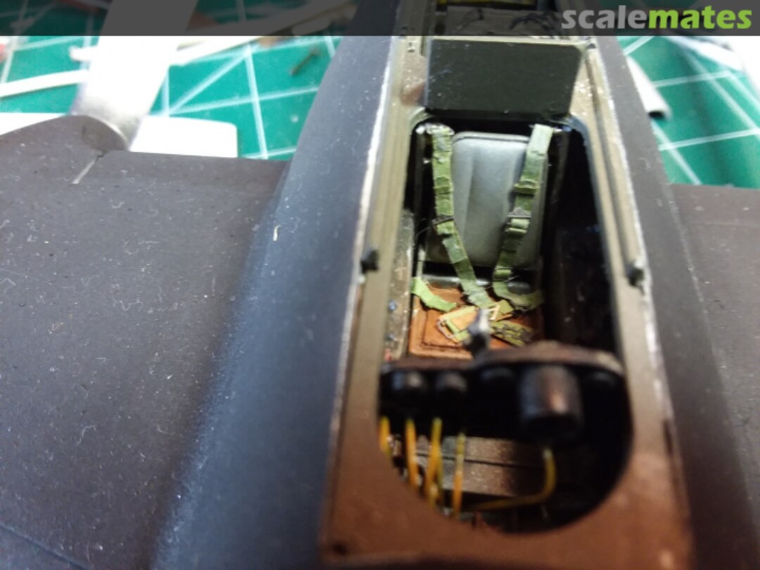 View album, image #1