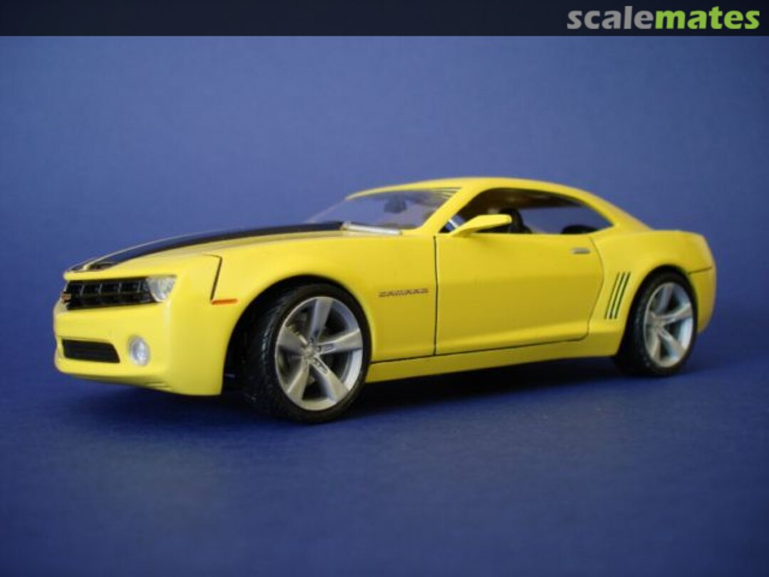 View album, image #1